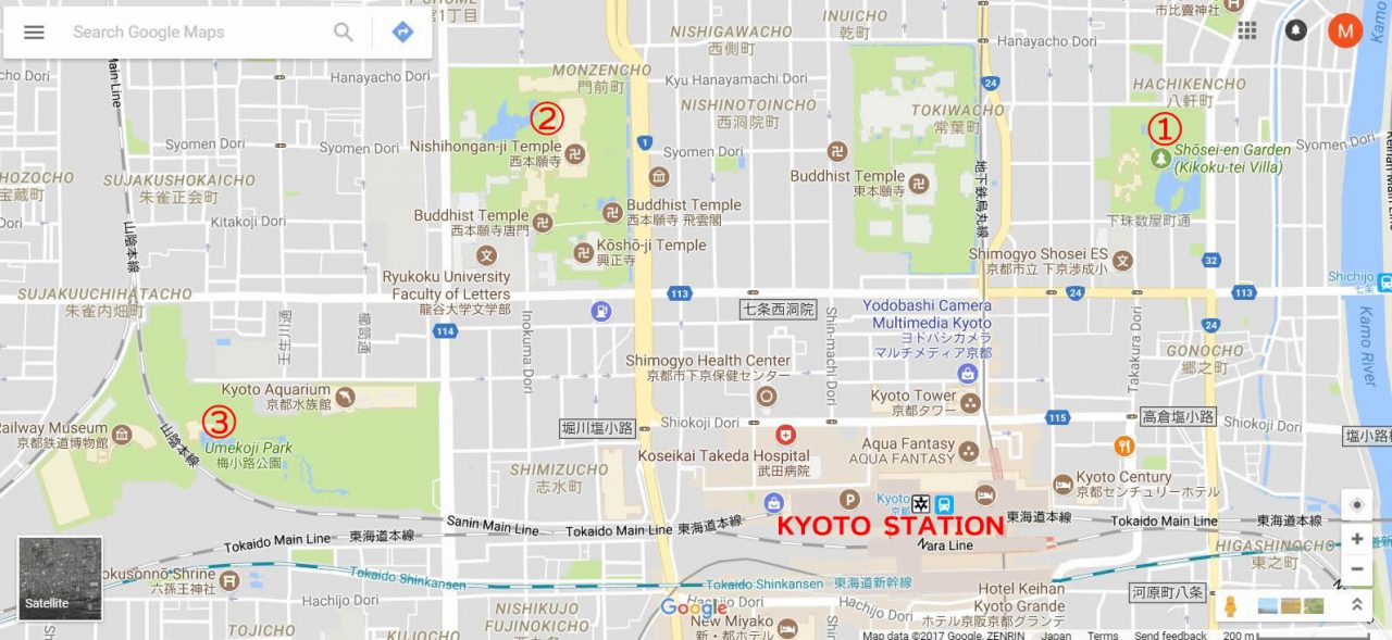 ※ これは画像です